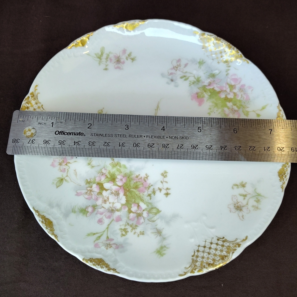 BEAUTIFUL Antique Theodore Haviland Limoges Plate, Late 1800s - Picture 5 of 5